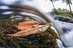long exposure over-under (Agout river, France) by Mathieu Foulquié 